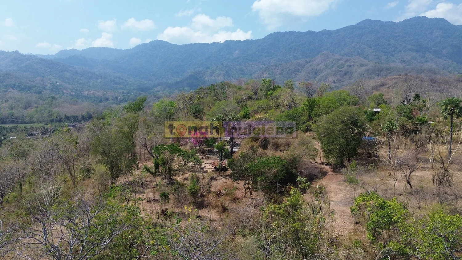 Tanah Buleleng - 5 Hektare Tanah View laut dan Bukit di Buleleng - gambar 4