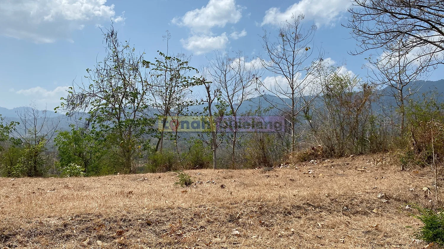 Tanah Buleleng - 5 Hektare Tanah View laut dan Bukit di Buleleng - gambar 5