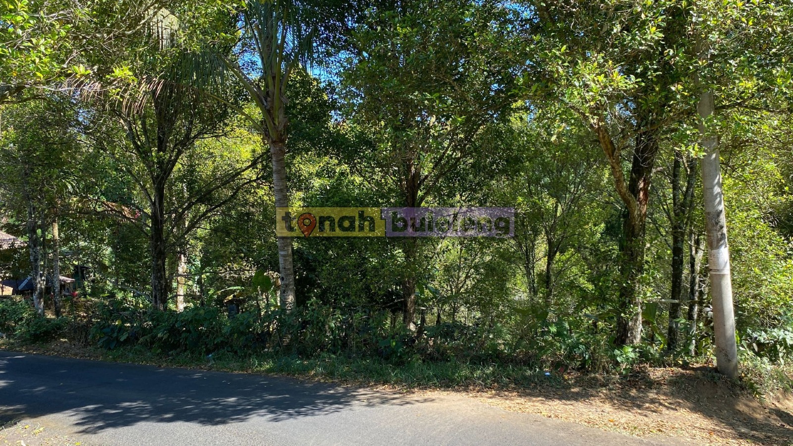 Tanah Buleleng - Di Jual Tanah Cengkeh Pinggir Jalan di Desa Tigawasa - gambar 4