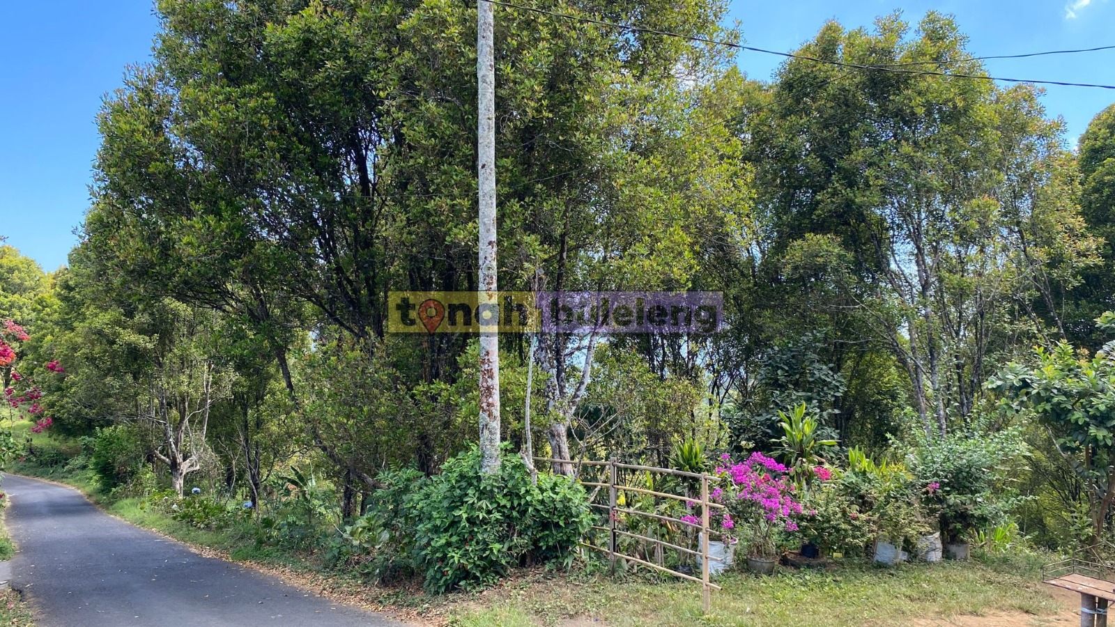 Tanah Buleleng - Di Jual Tanah Global Dengan Kebun Cengkeh di Desa Tigawasa - gambar 1