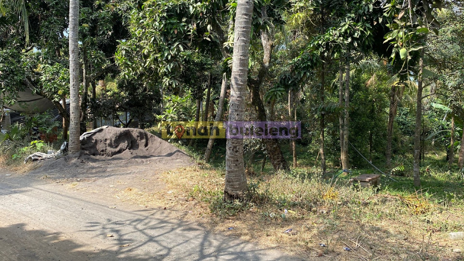 Tanah Buleleng - Di Jual Tanah Kebun 20 Are Area Kubutambahan - gambar 3