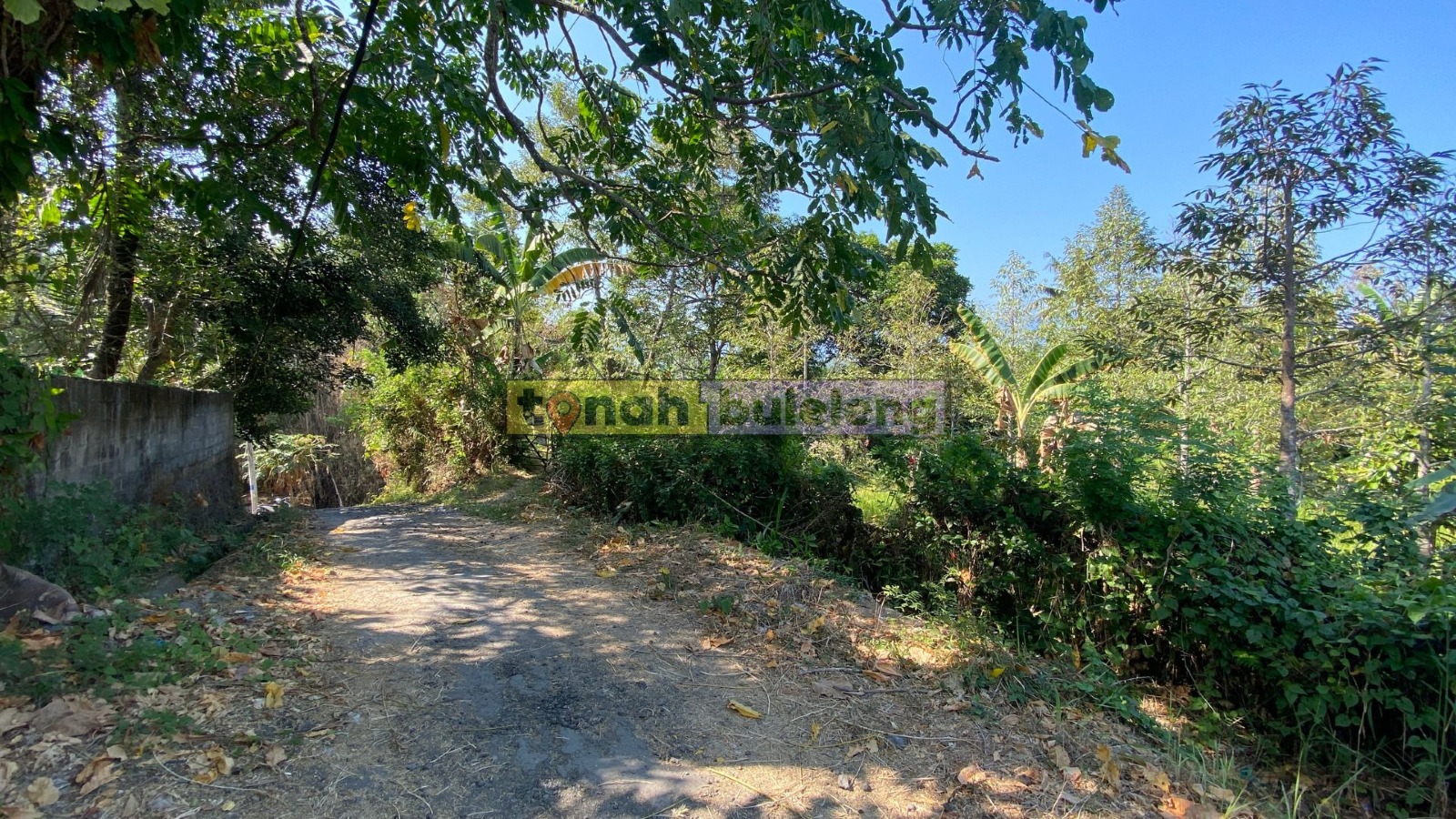 Tanah Buleleng - Di Jual Tanah Kebun Durian di Buleleng - gambar 5