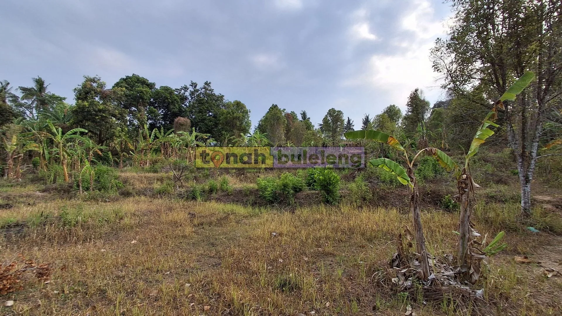 Tanah Buleleng - Dijual Lahan Kosong di Panji - gambar 1