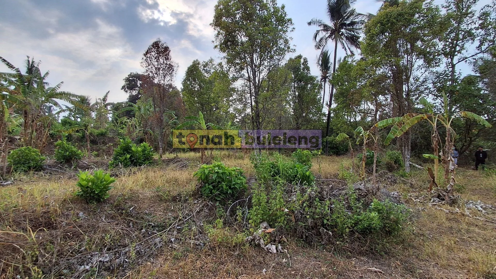 Tanah Buleleng - Dijual Lahan Kosong di Panji - gambar 2