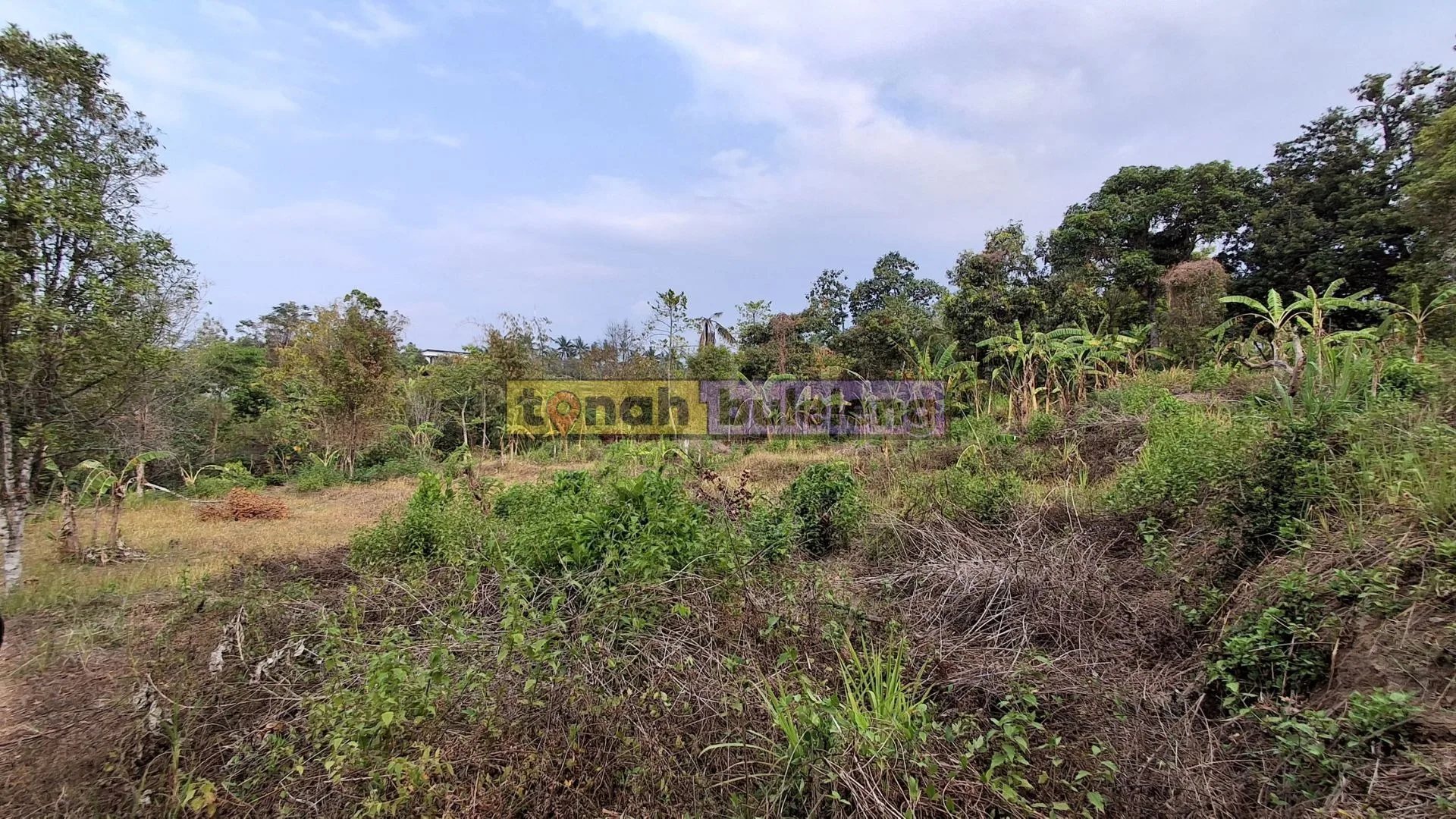 Tanah Buleleng - Dijual Lahan Kosong di Panji - gambar 3