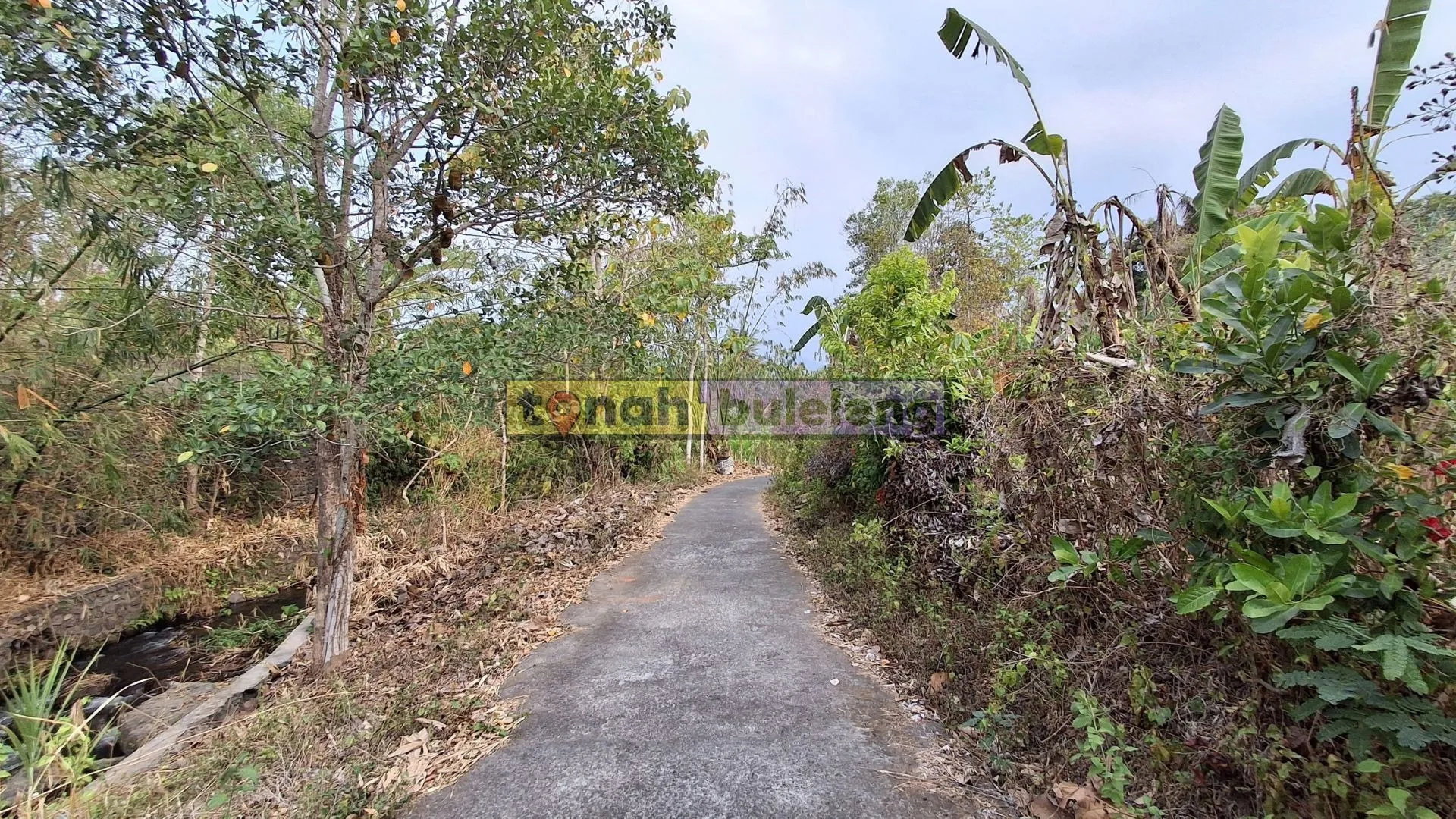 Tanah Buleleng - Dijual Lahan Kosong di Panji - gambar 5