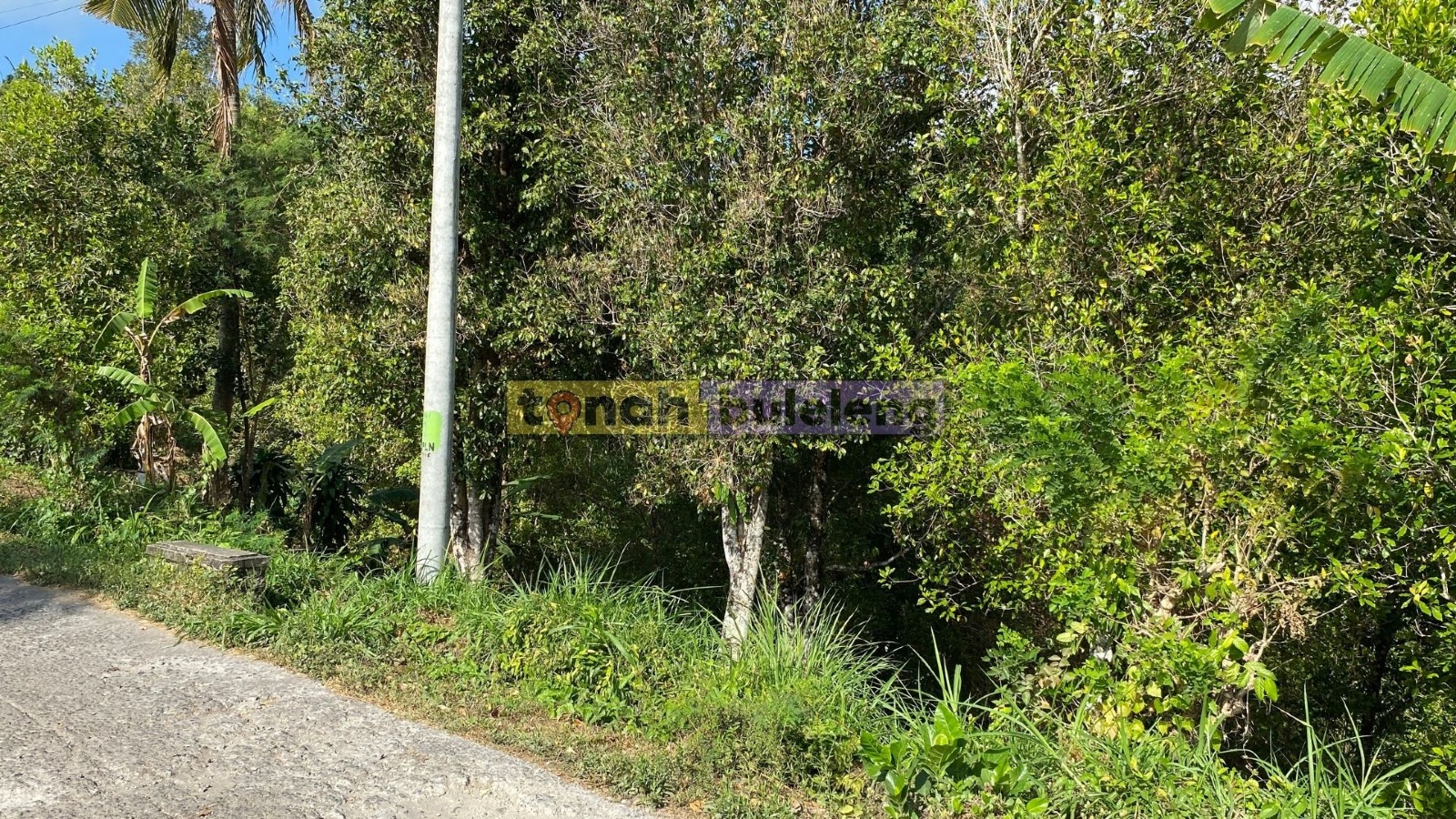 Tanah Buleleng - Dijual Tanah Cengkeh Dekat Maha Hills Sambangan - gambar 3