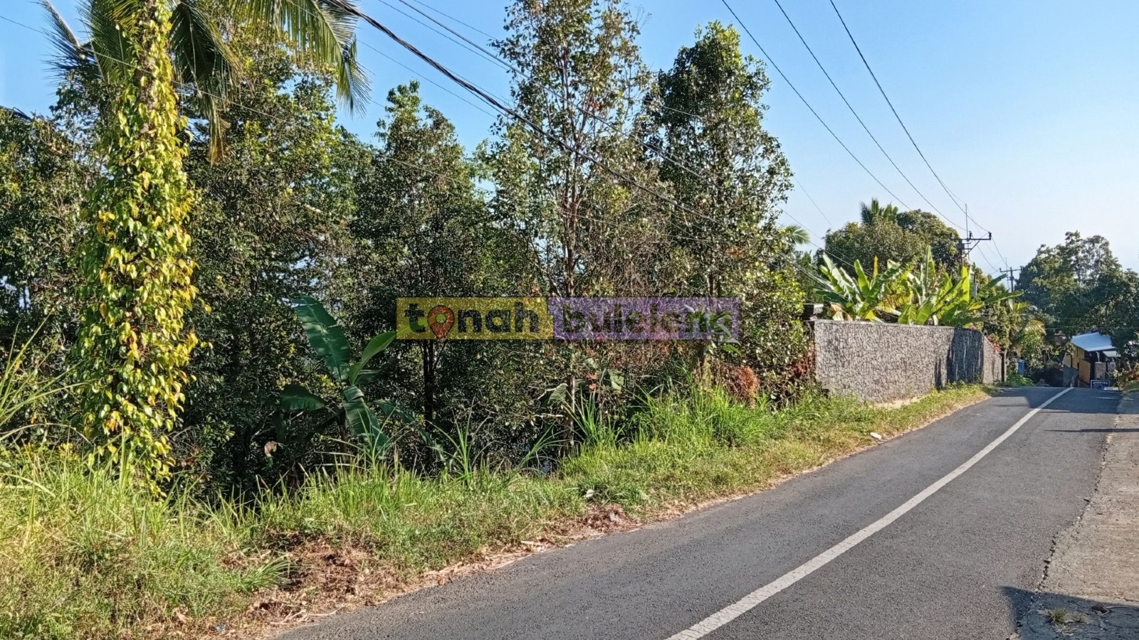 Tanah Buleleng - Dijual Tanah Cengkeh Pinggir Jalan Desa Panji - gambar 4