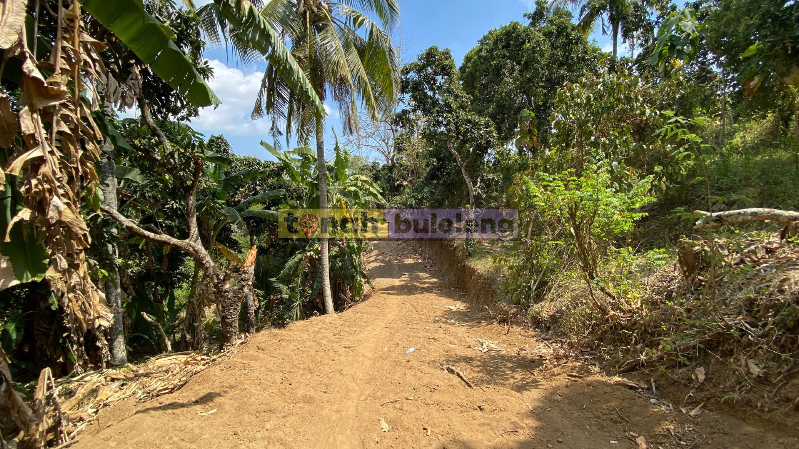 Tanah Buleleng - Dijual Tanah Global Murah di Kubutambahan - gambar 2
