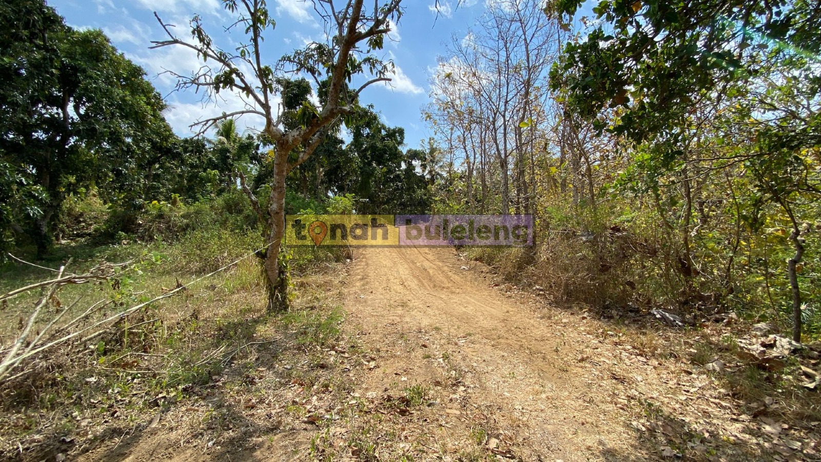 Tanah Buleleng - Dijual Tanah Global Murah di Kubutambahan - gambar 3