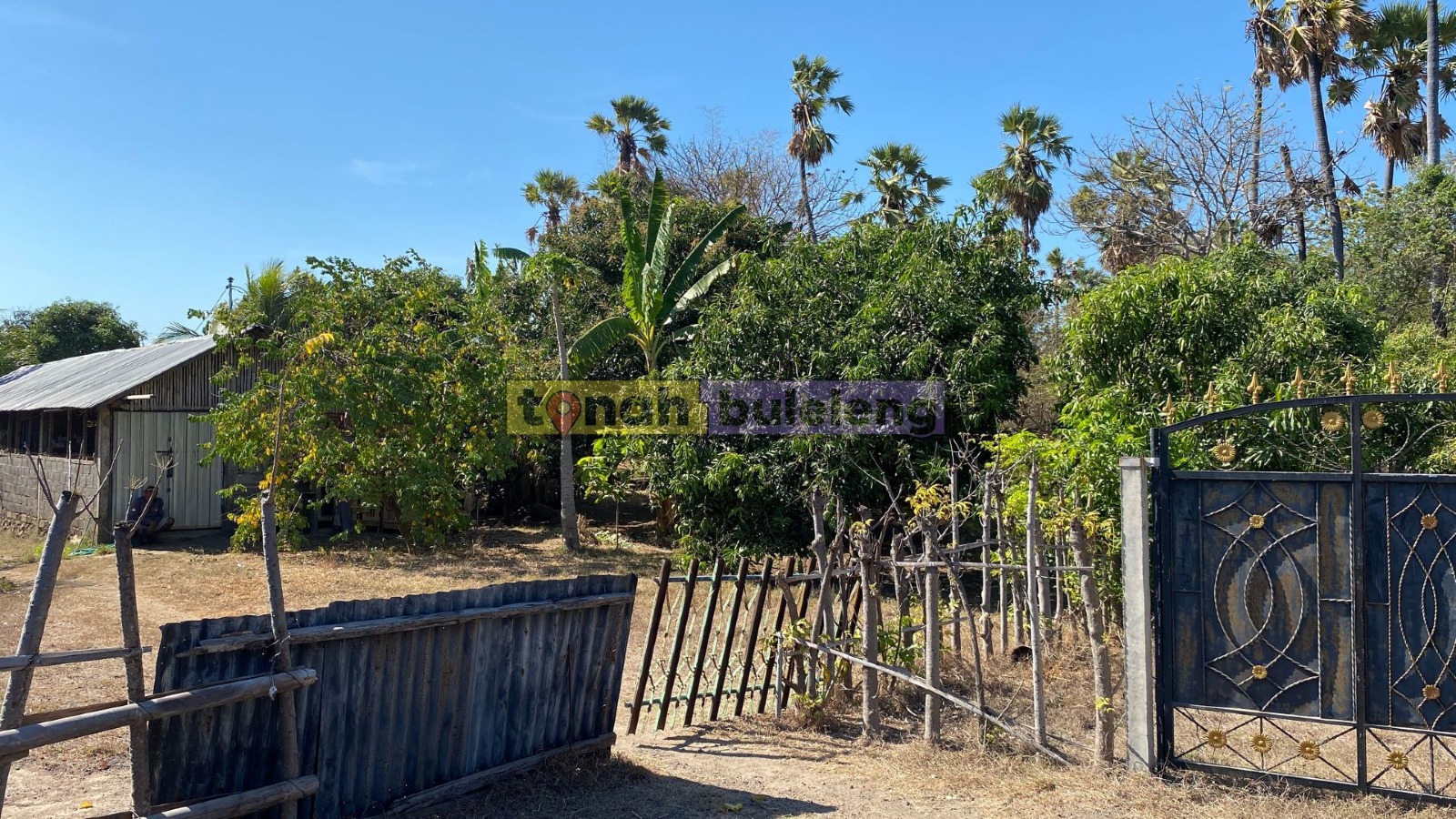 Tanah Buleleng - Dijual tanah kebun dekat BTN Desa Bungkulan - gambar 2