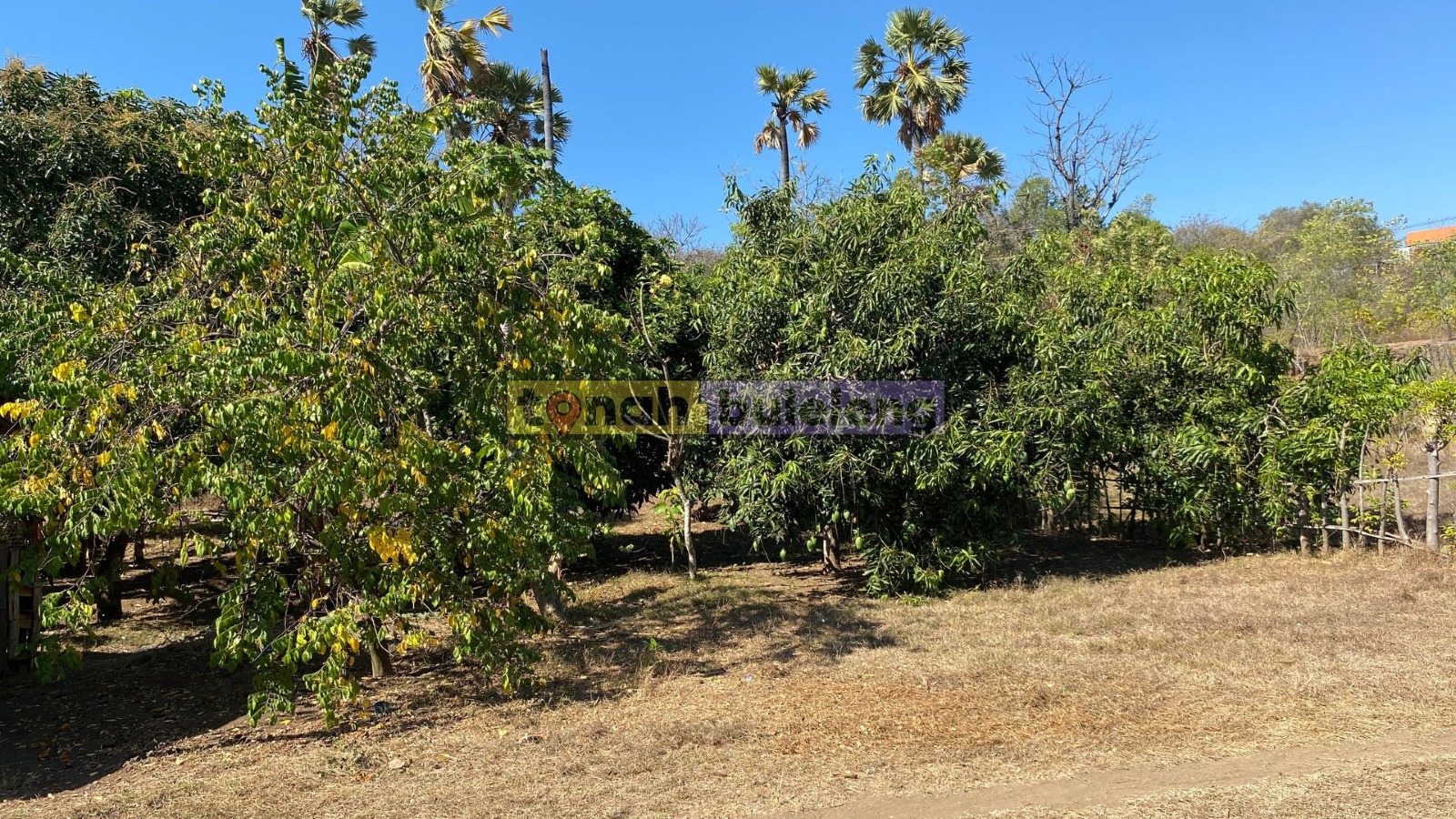 Tanah Buleleng - Dijual tanah kebun dekat BTN Desa Bungkulan - gambar 3