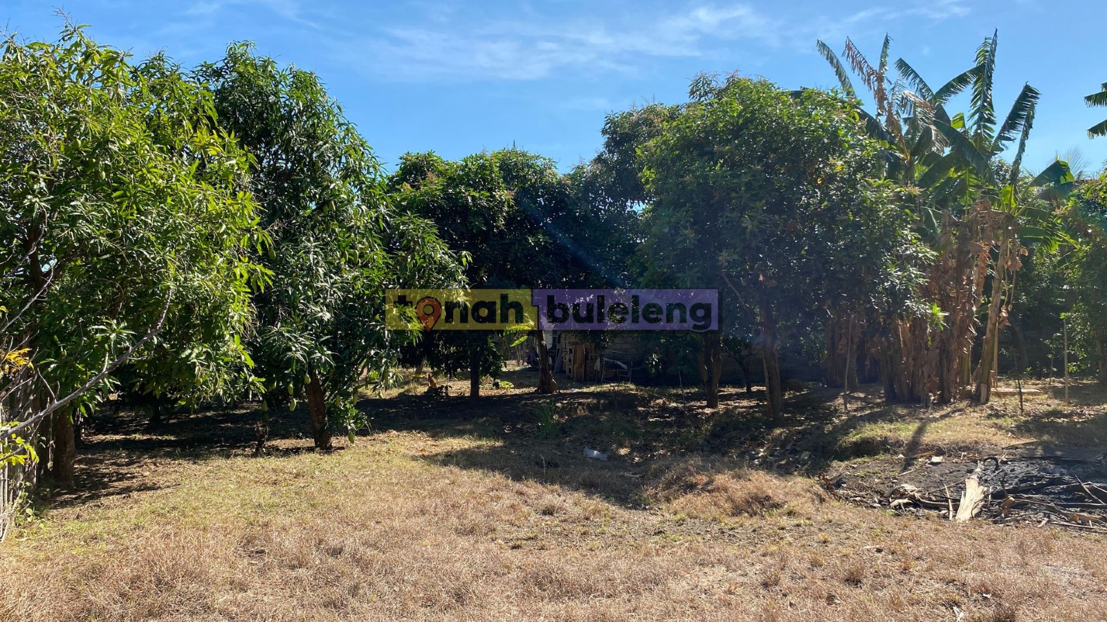Tanah Buleleng - Dijual tanah kebun dekat BTN Desa Bungkulan - gambar 4