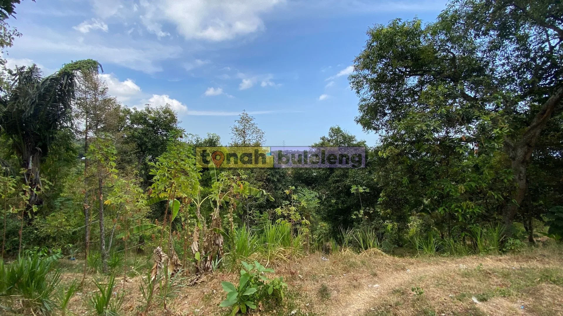 Tanah Buleleng - Dijual Tanah Kebun di Tegallinggah - gambar 1