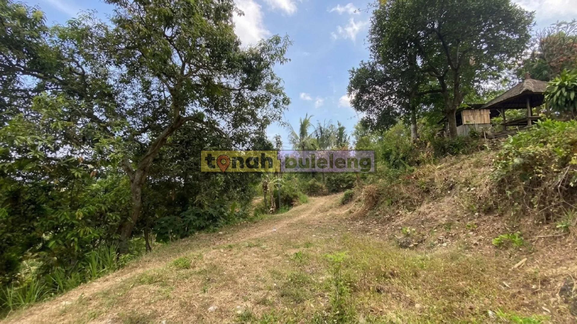 Tanah Buleleng - Dijual Tanah Kebun di Tegallinggah - gambar 2