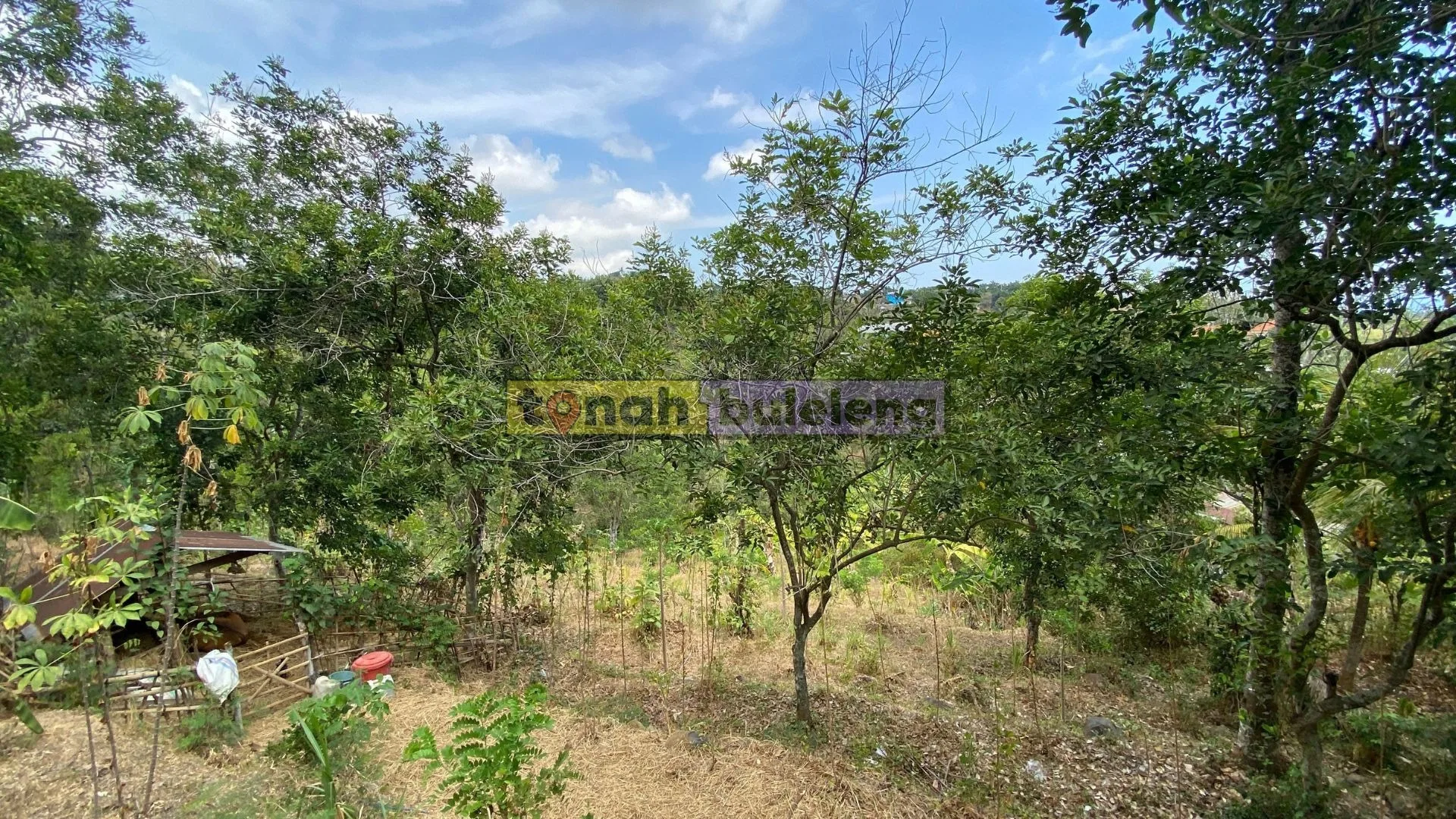 Tanah Buleleng - Dijual Tanah Kebun di Tegallinggah - gambar 3