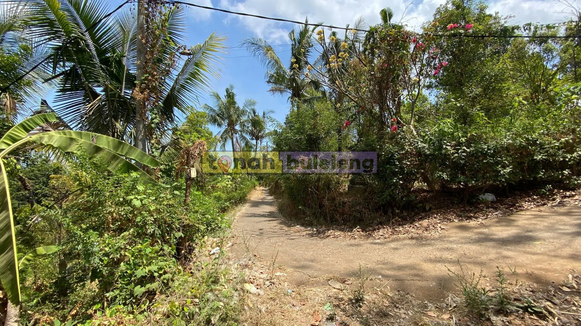 Tanah Buleleng - Dijual Tanah Kebun di Tegallinggah - gambar 5