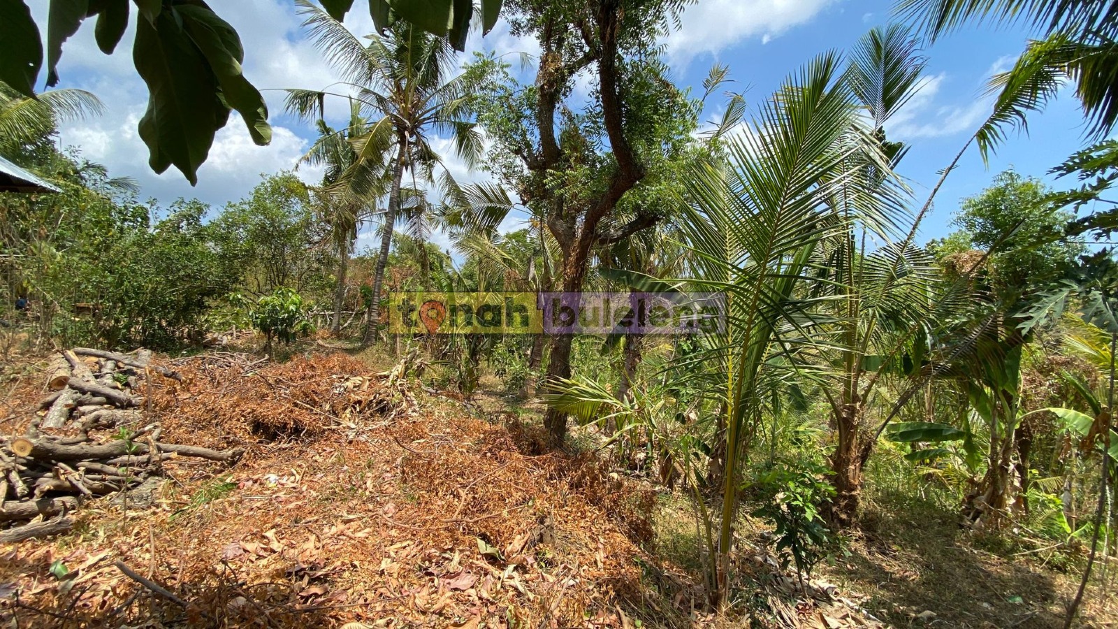 Tanah Buleleng - Dijual Tanah Kosong 20 are di Kubutambahan - gambar 1