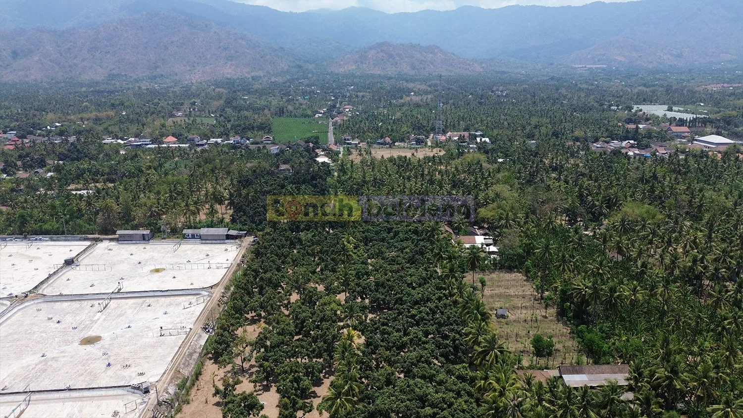 Tanah Buleleng - Tanah 1 Hektare Kebun Mangga Dekat Pantai Tambak di Gerokgak - gambar 5