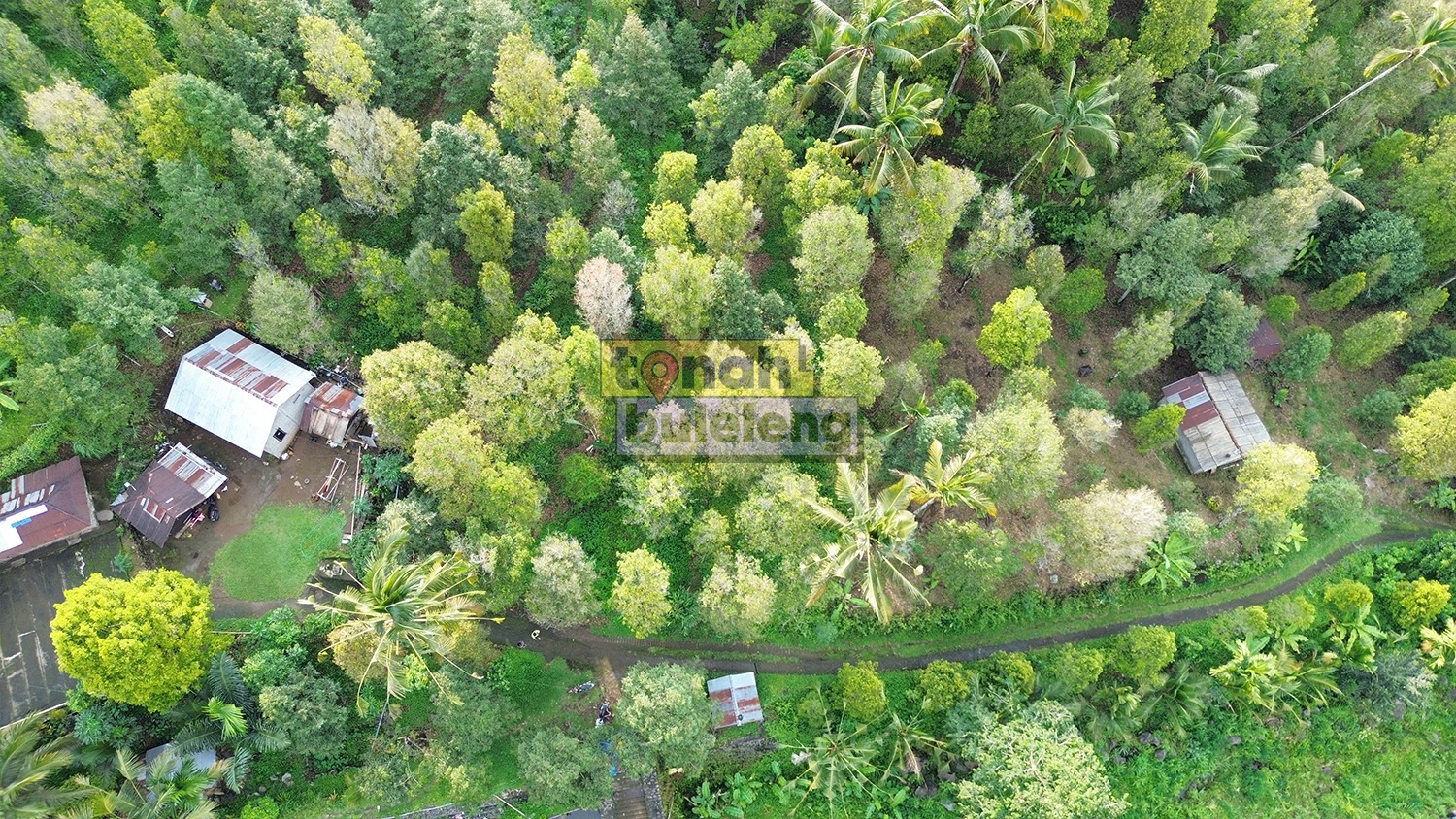 Tanah Buleleng - Tanah Cengkeh 19 Are di Sukasada - gambar 1