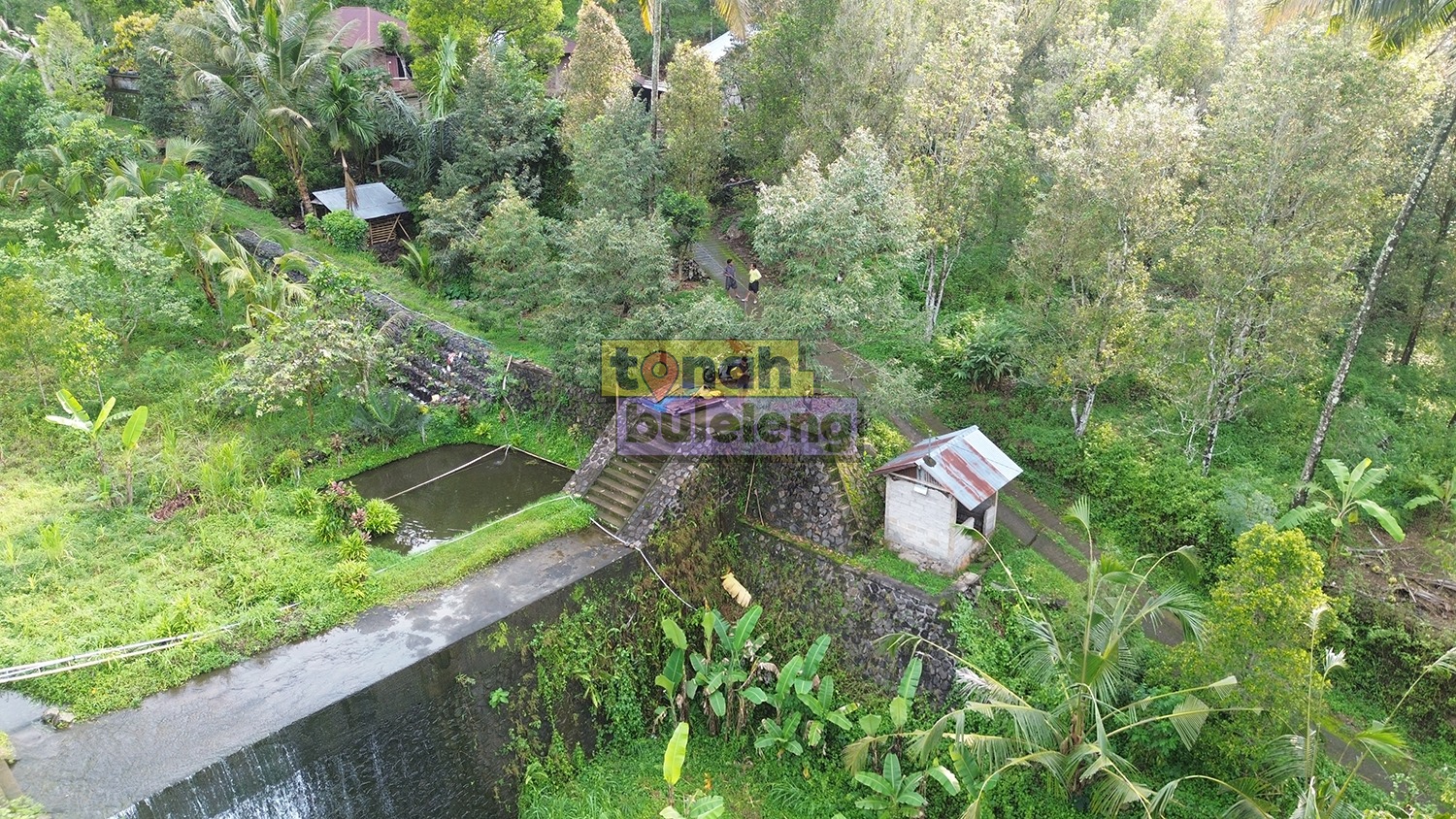 Tanah Buleleng - Tanah Cengkeh 19 Are di Sukasada - gambar 2