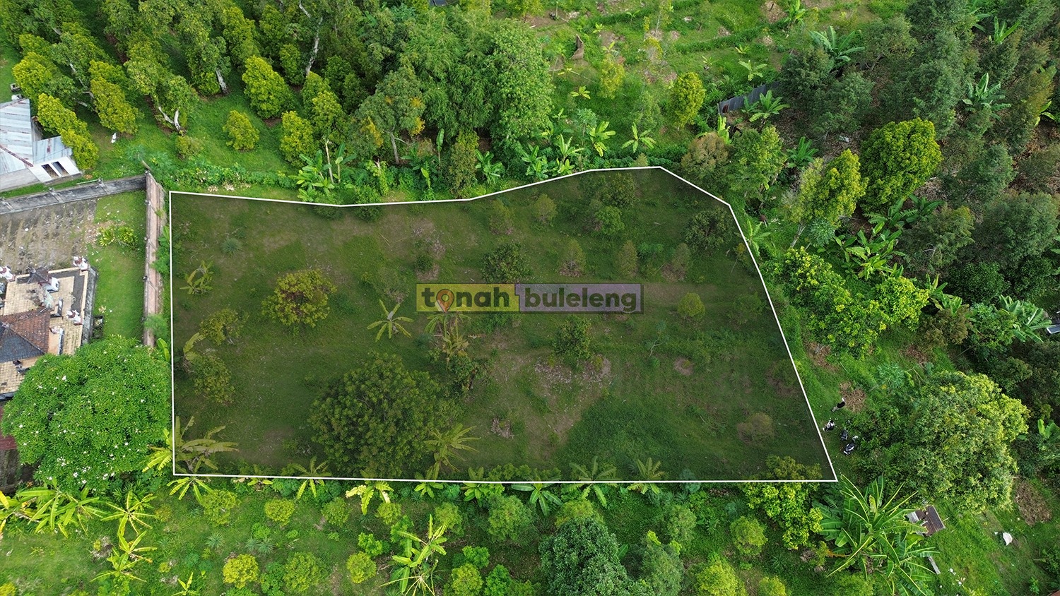 Tanah Buleleng - Tanah Cocok Untuk Kebun di Tegalinggah Buleleng - gambar 2