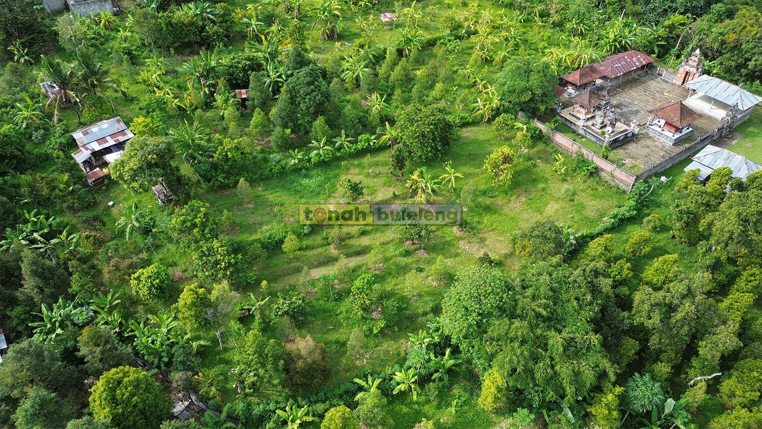 Tanah Buleleng - Tanah Cocok Untuk Kebun di Tegalinggah Buleleng - gambar 4