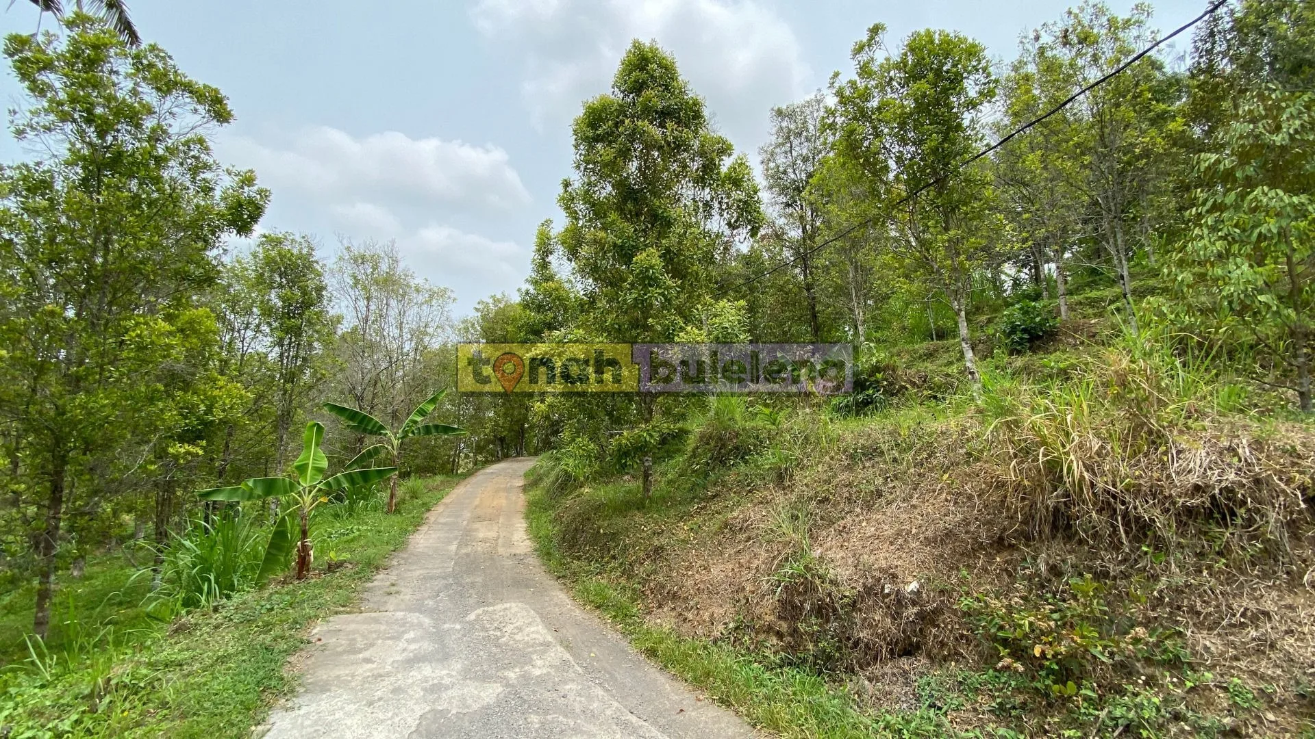 Tanah Buleleng - Tanah Kebun Cengkeh 26 are Dekat Wisata Aling Aling - gambar 4