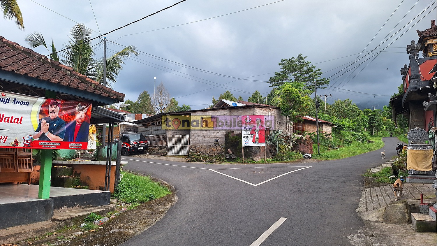 Tanah Buleleng - Tanah Kebun Cengkeh Pinggir Jalan di Panji Anom - gambar 2