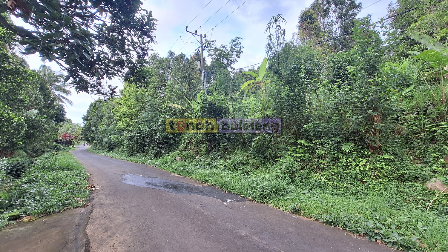 Tanah Buleleng - Tanah Kebun Cengkeh Pinggir Jalan di Panji Anom - gambar 3