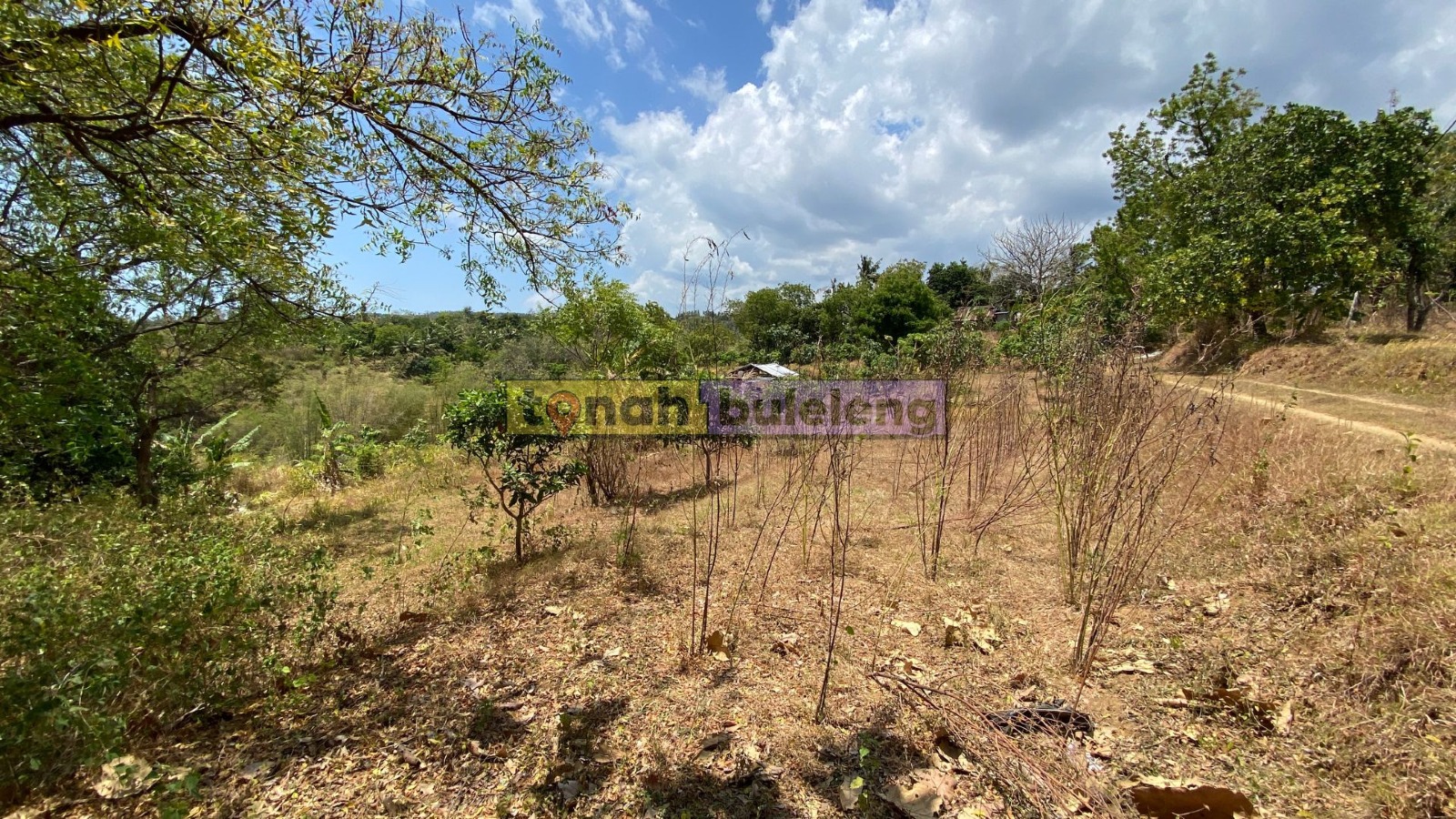 Tanah Buleleng - Tanah Kebun di Dataran Tinggi Kubutambahan - gambar 3