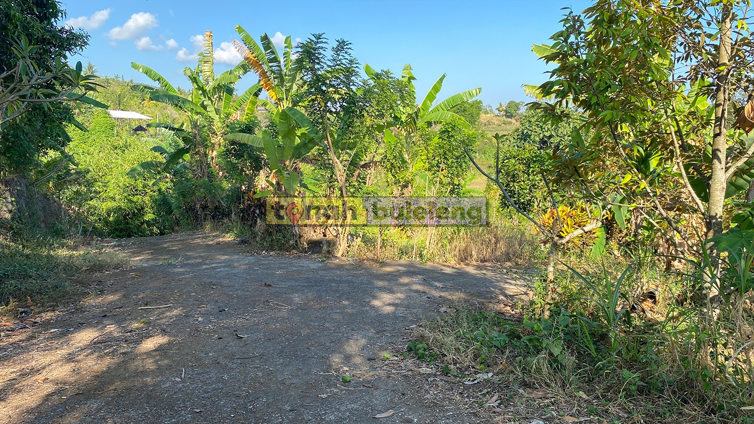 Tanah Buleleng - Tanah Kebun Durian Luas 4 Are di Desa Panji - gambar 2