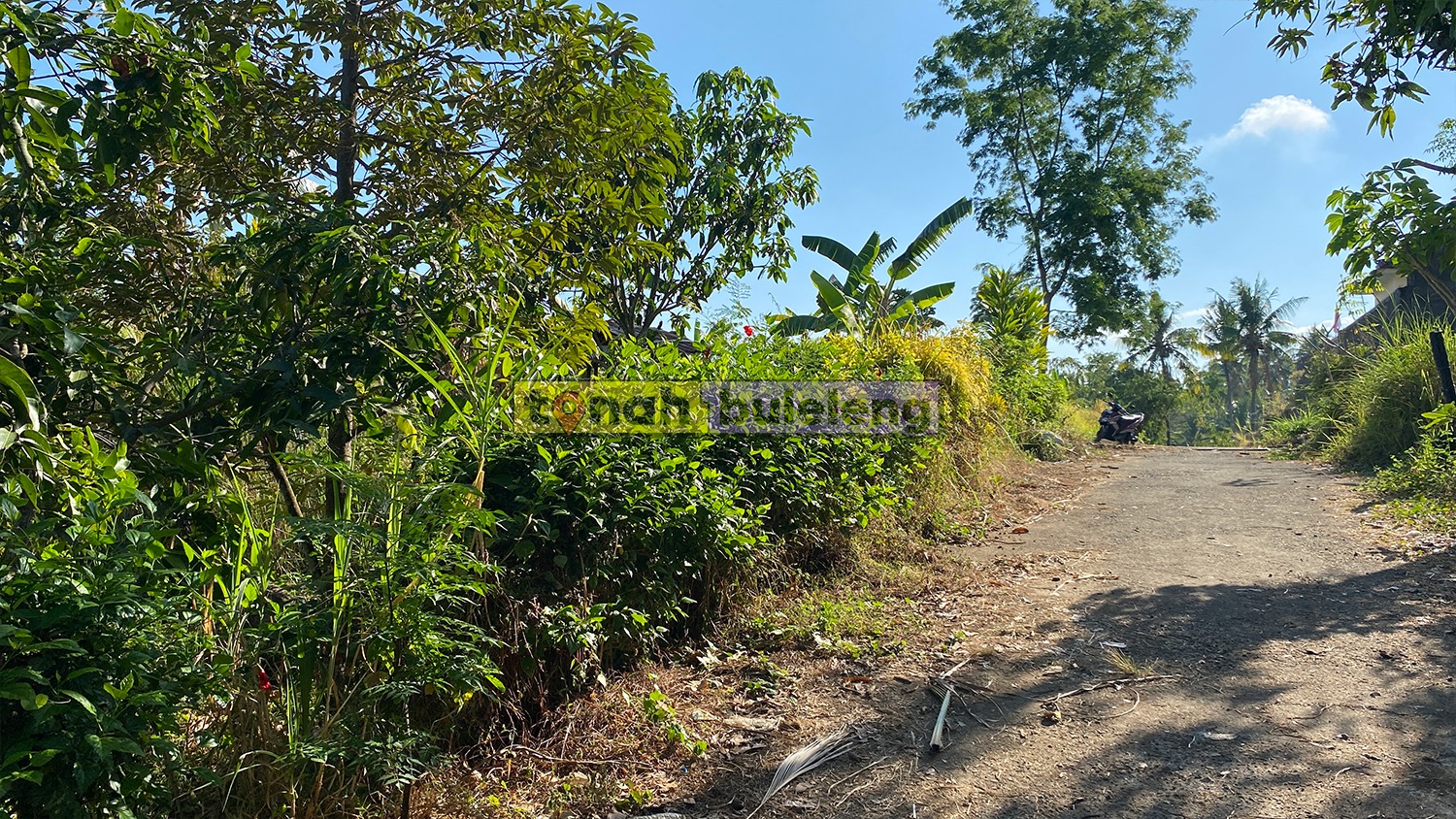 Tanah Buleleng - Tanah Kebun Durian Luas 4 Are di Desa Panji - gambar 3