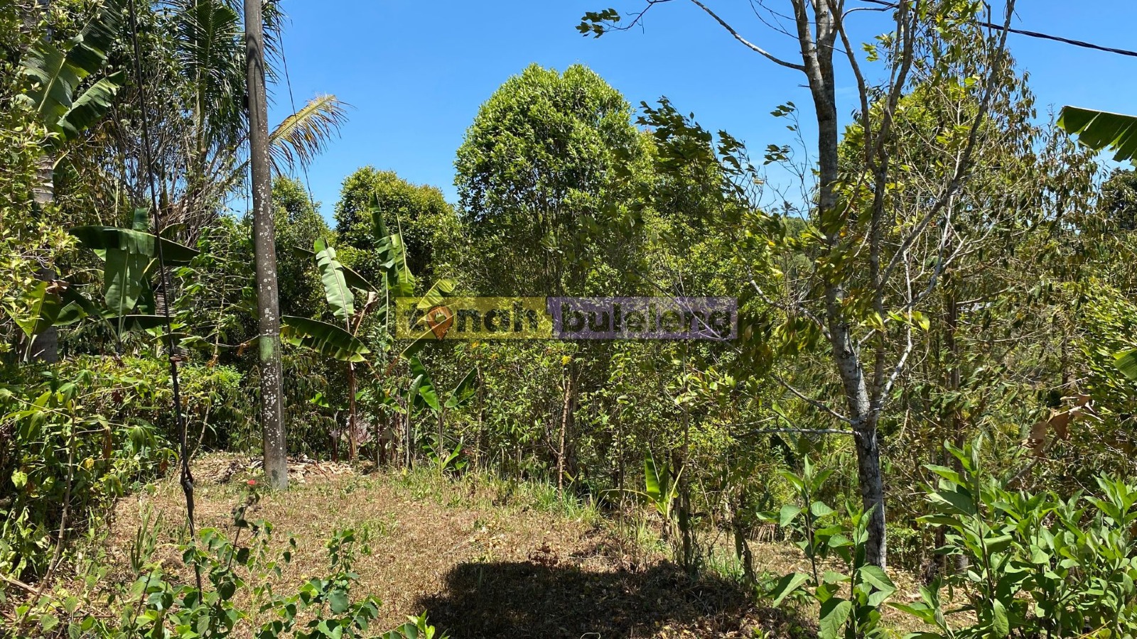 Tanah Buleleng - Tanah Kebun Pinggir Jalan Luas 7 are di Tigawasa - gambar 2
